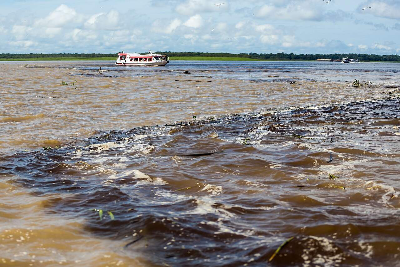 El encuentro de las aguas: el río Negro y el Solimões corren juntos sin mezclarse