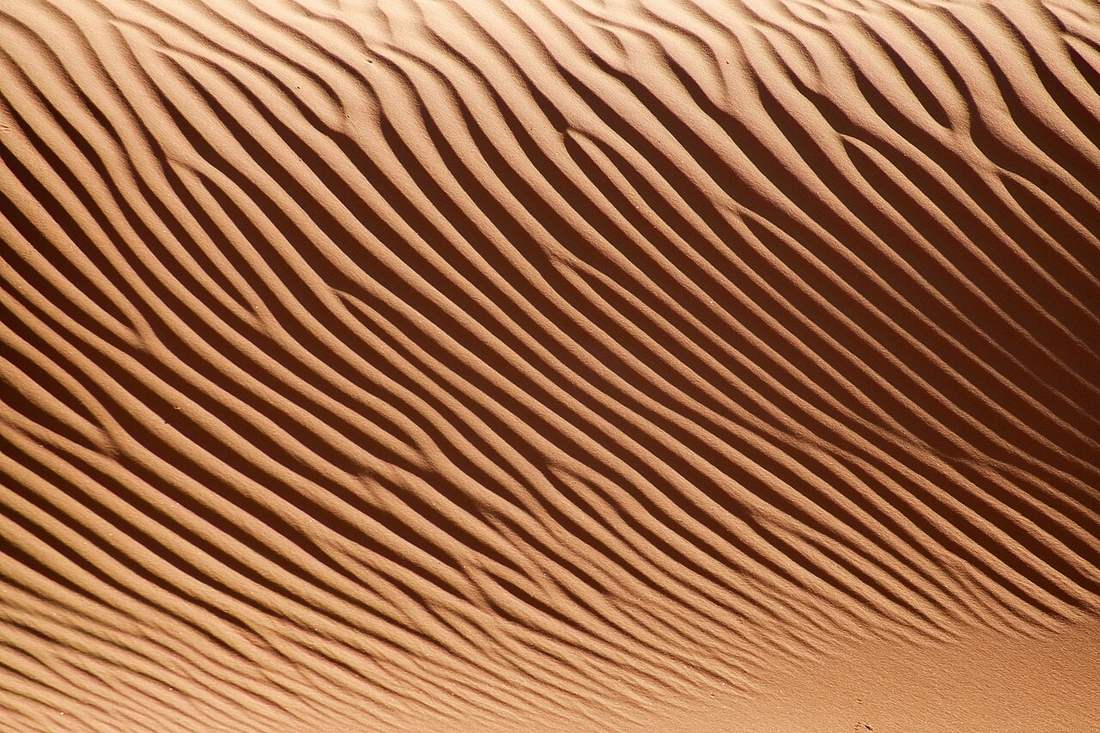 Textura de las dunas doradas de Jalapão al atardecer